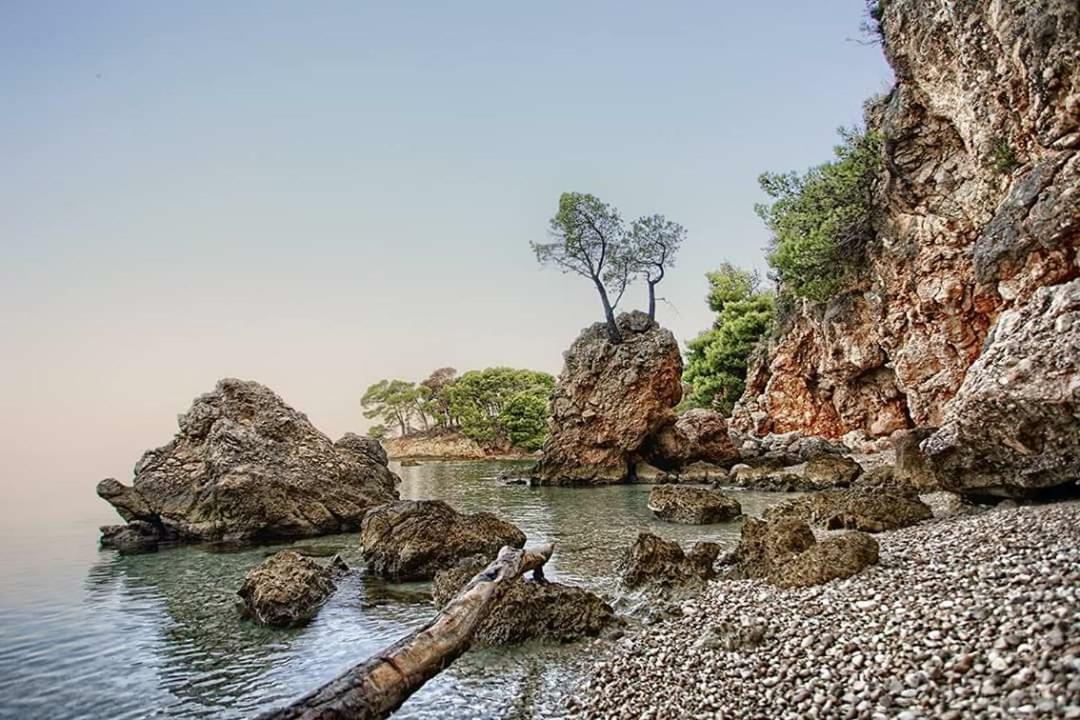 Sea View Ela Apartments Podgora Zewnętrze zdjęcie